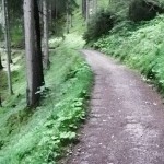 Trail between Filisur and Wiesen Station