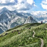 Herder on the trail between Rifugio Giorgio Bertone and the Tete Bernarda